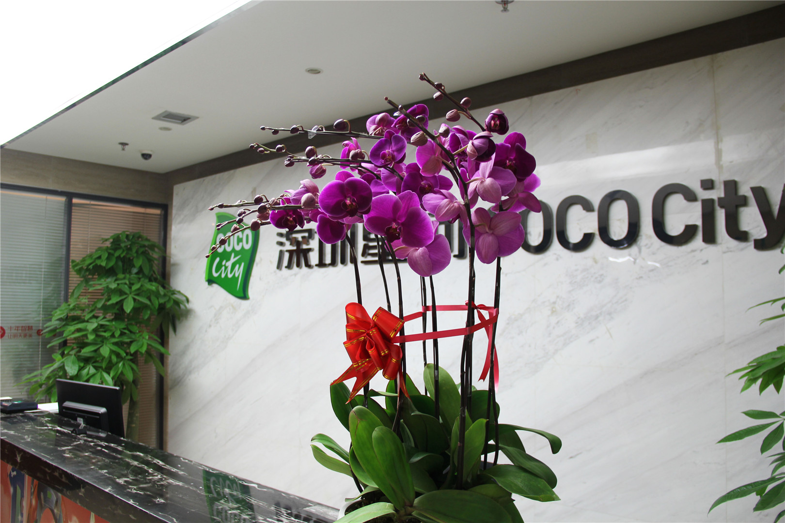 COCOcity购物中心