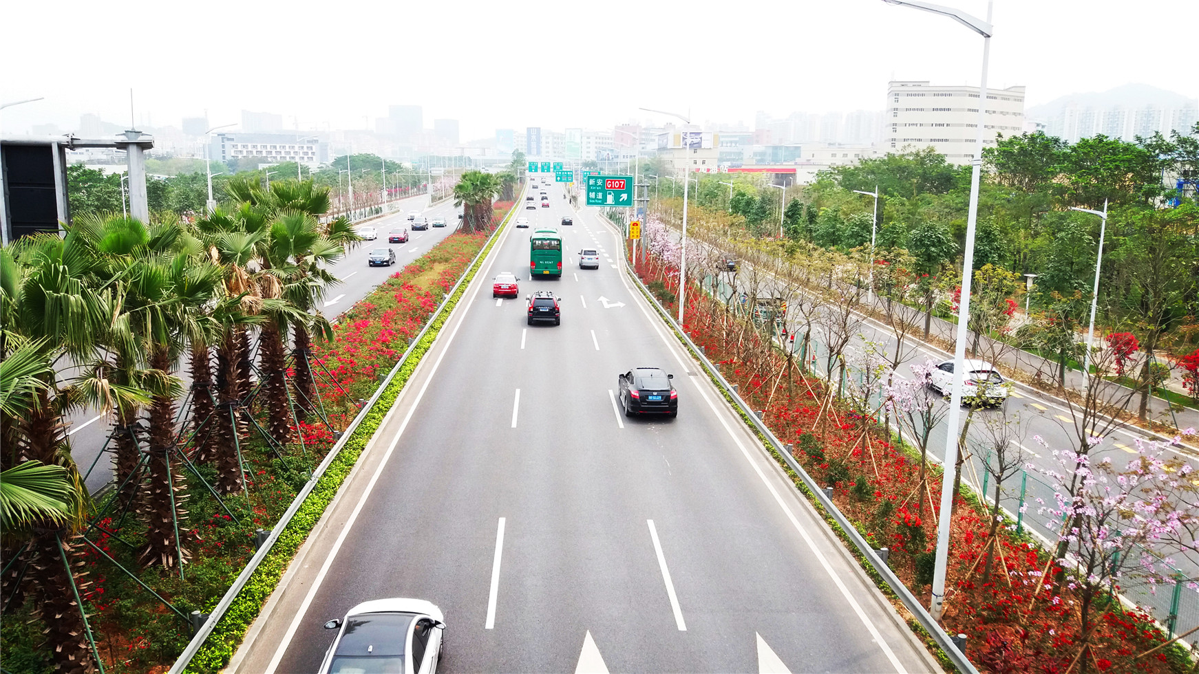 深圳机场南路绿化景观提升项目
